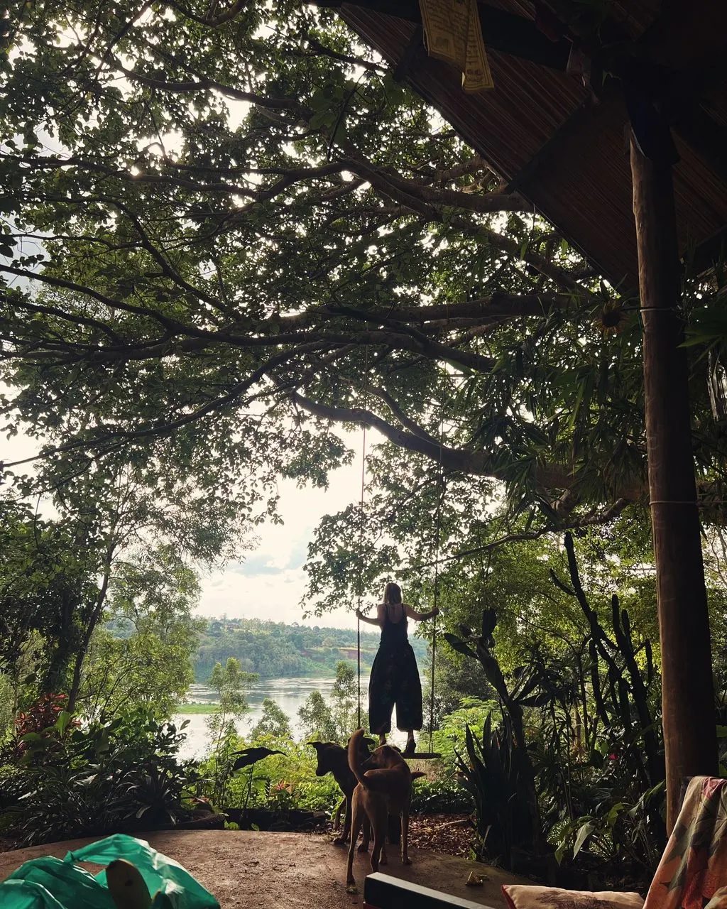 Swing bed and dogs overlooking the Nile
