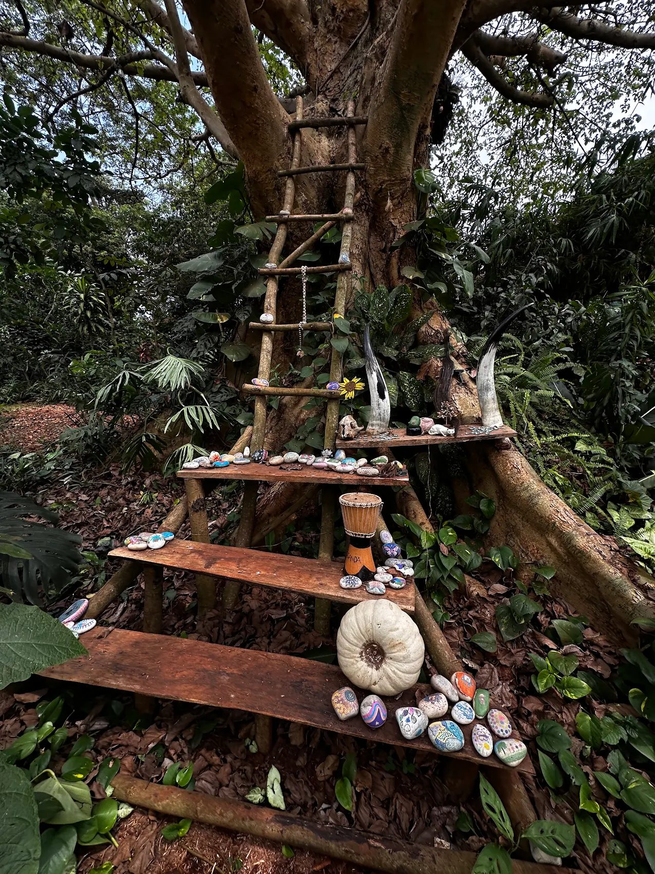 Painted rocks at Jinja Jungle