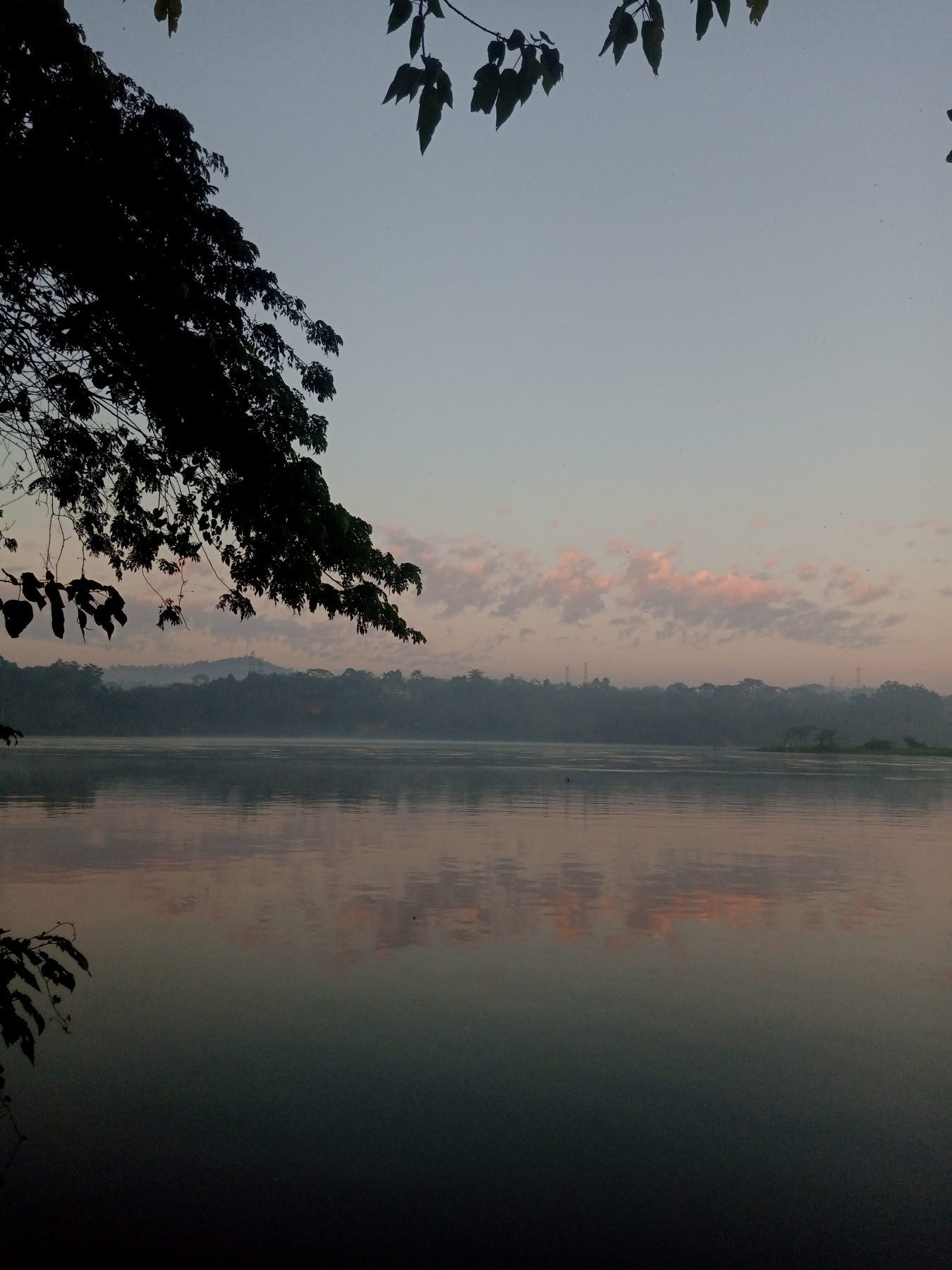 Dawn on the Nile
