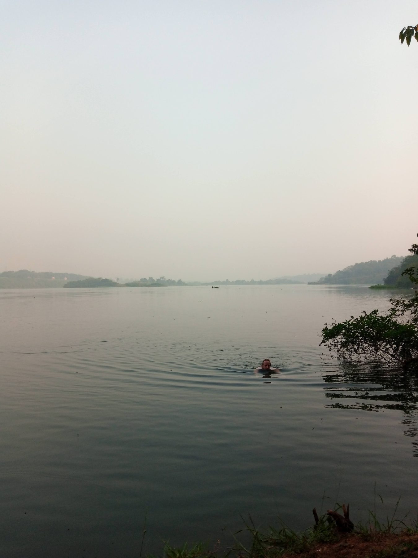 Swimming in the Nile