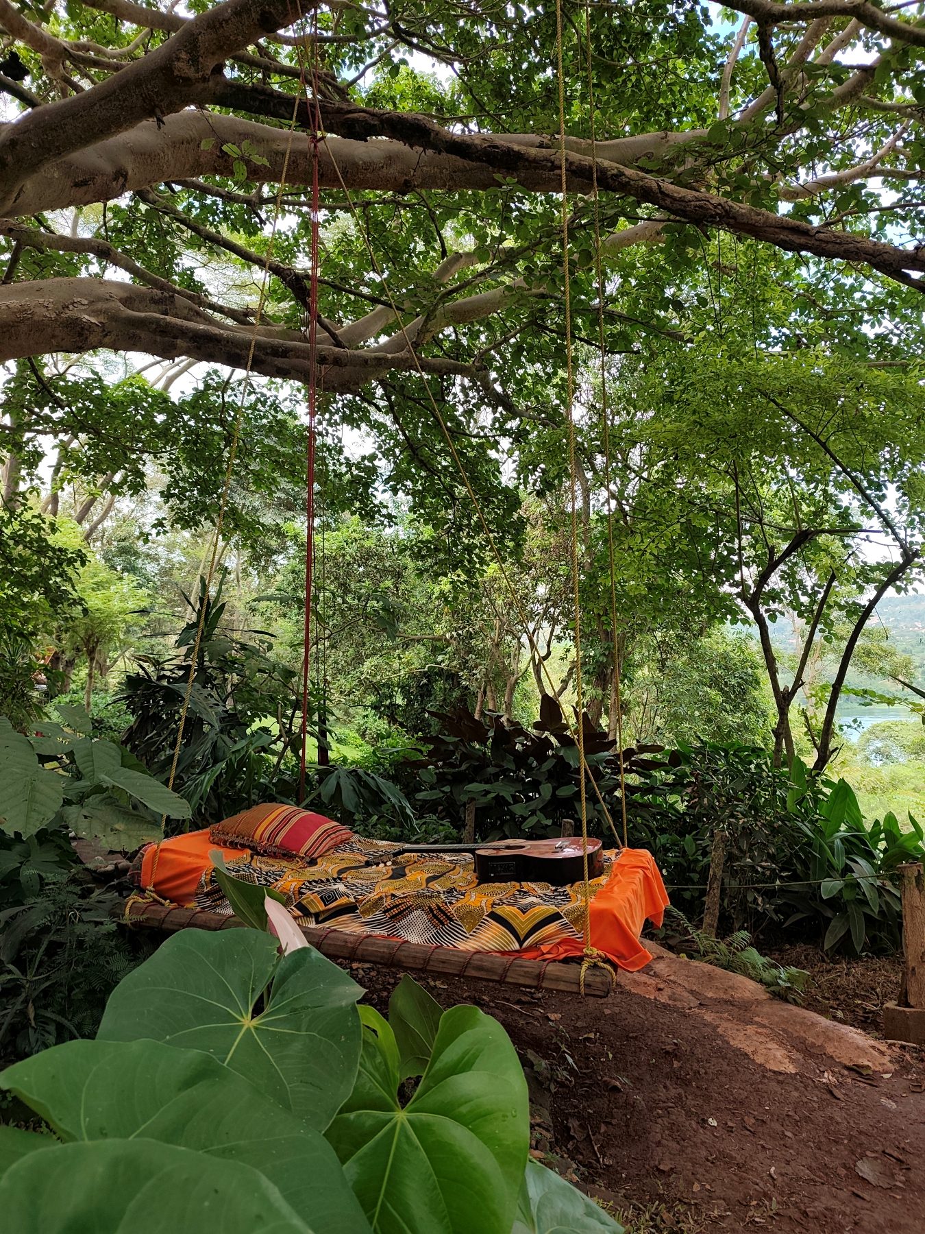Swing bed under the trees at Jinja Jungle